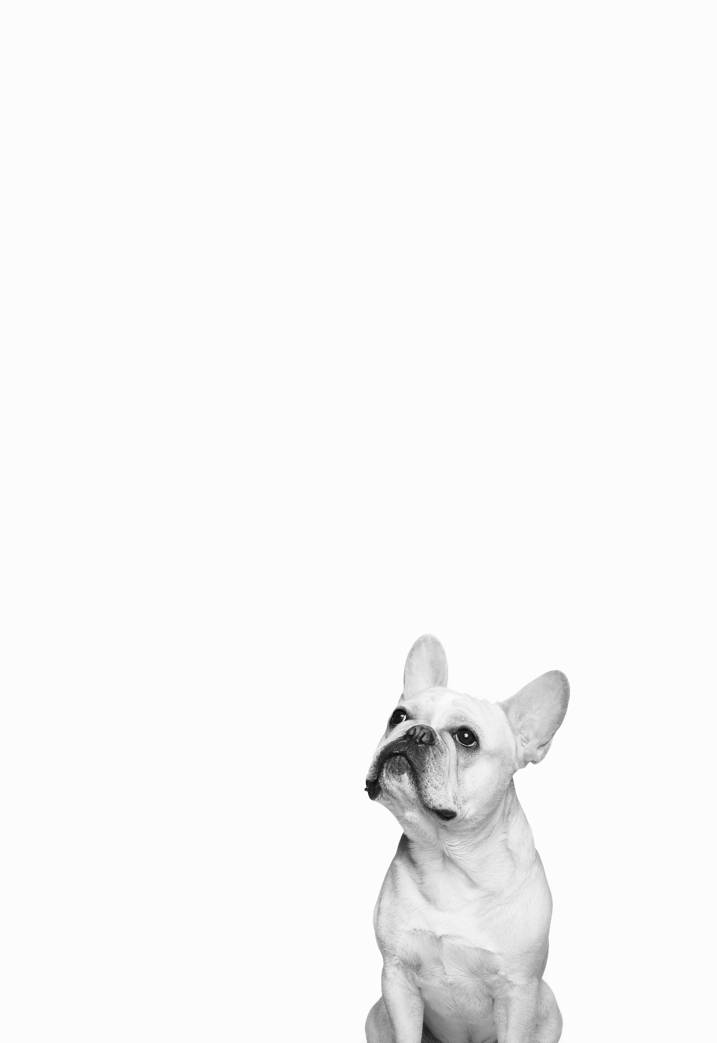 Aries_2