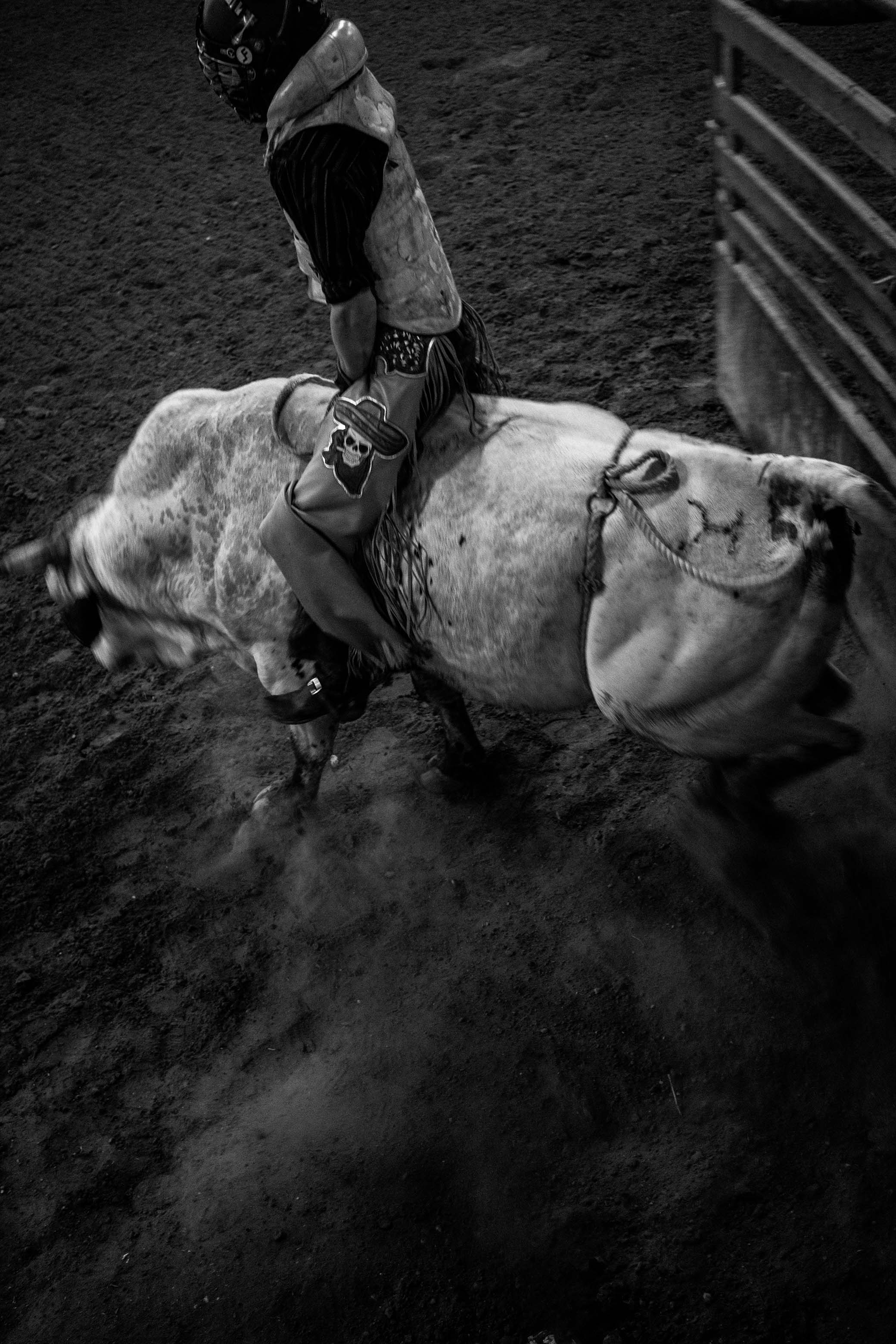 Rodeo_6